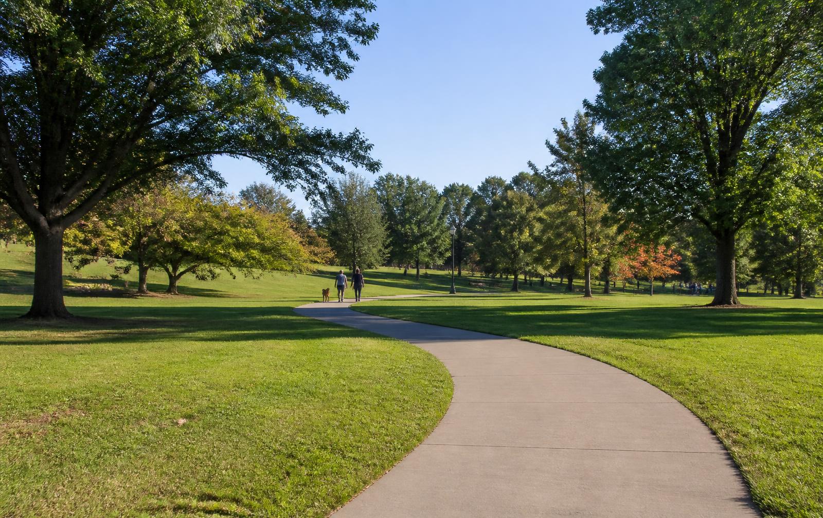 Open lawn and walking path under mature trees at a Charlotte neighborhood park