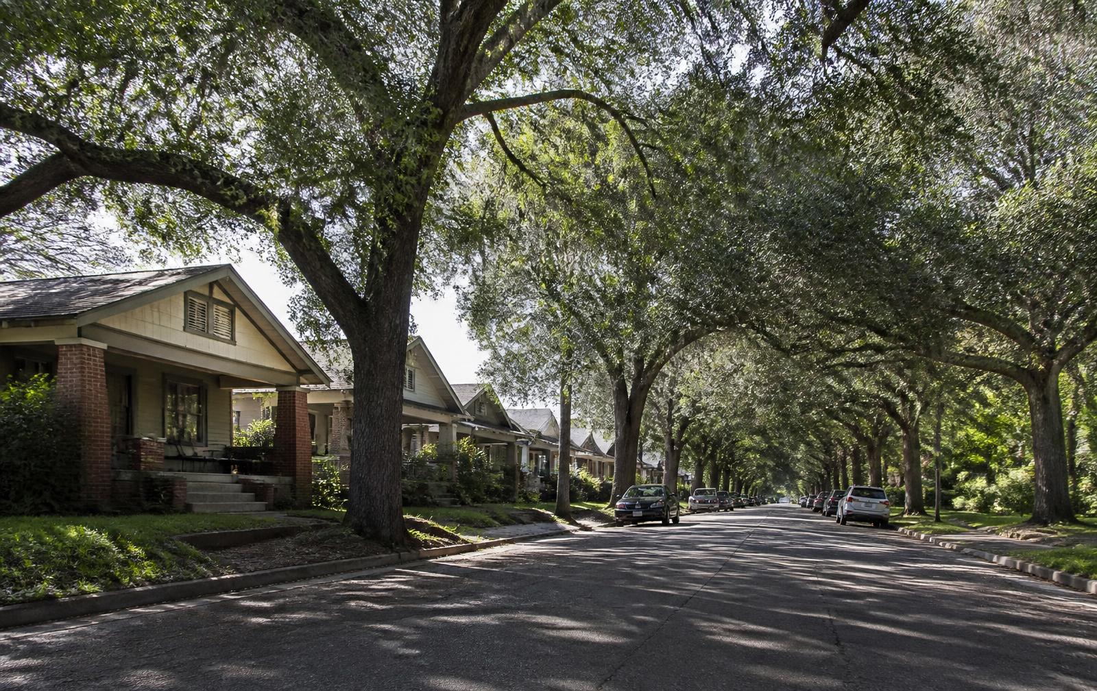Tree-lined block of 1920s Craftsman bungalows in Plaza Midwood, Charlotte